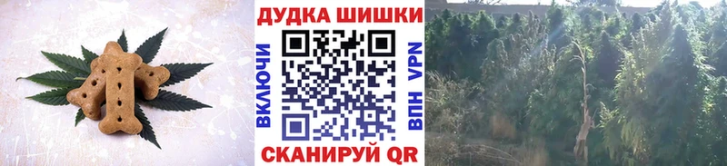 Купить закладки  Казань  Еда ТГК марихуана 