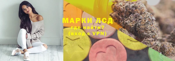 хмурый Алзамай