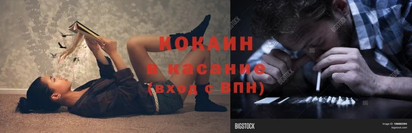 хмурый Алзамай