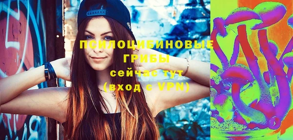 ECSTASY Алексин