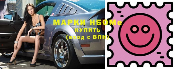 хмурый Алзамай